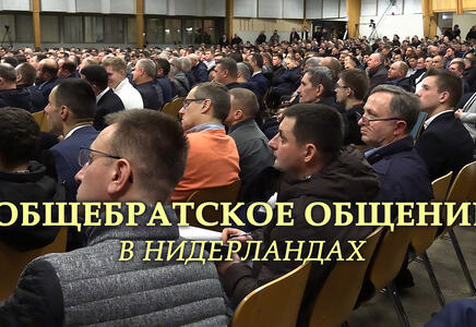 Общая информация